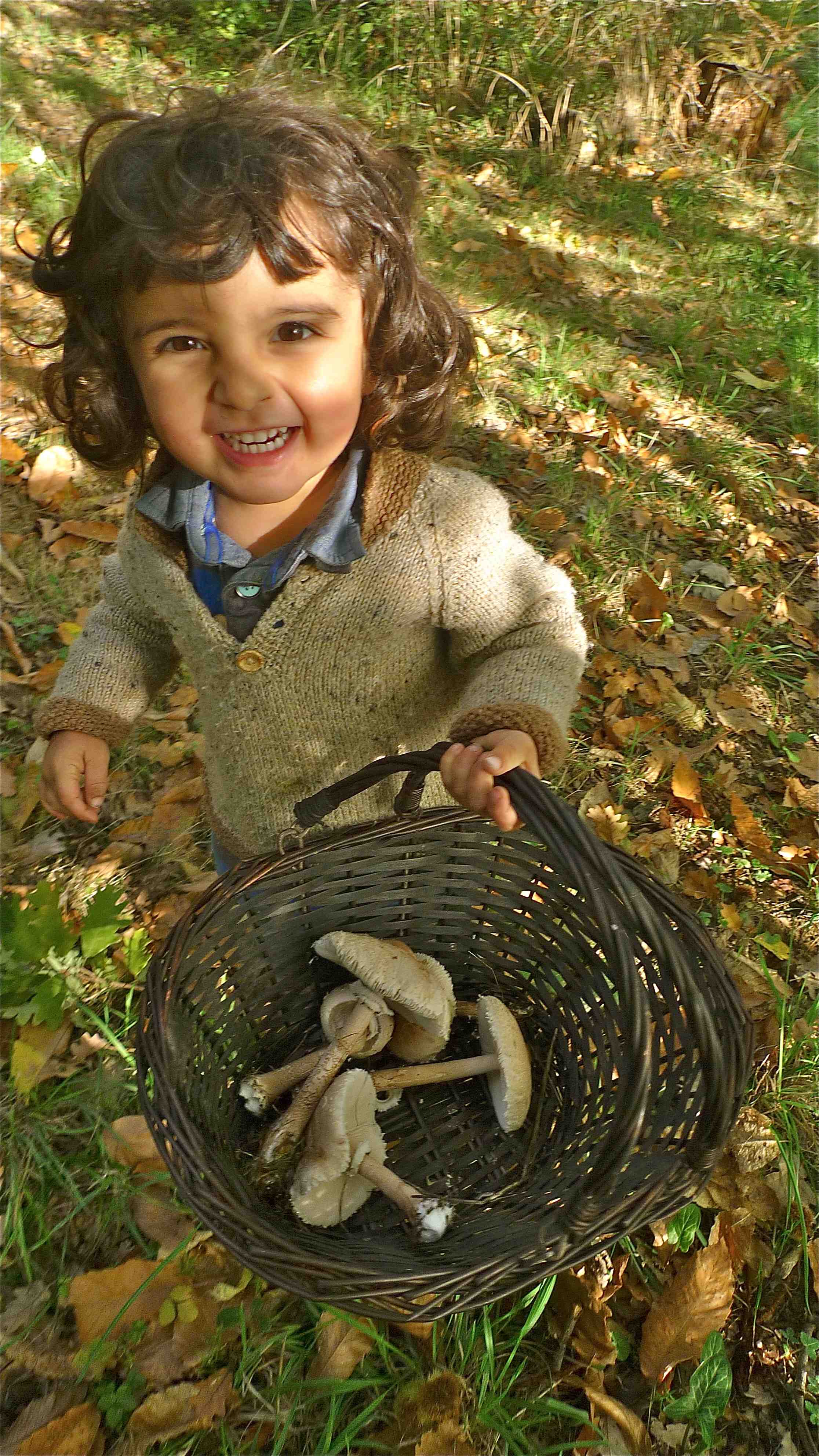 Jacques mushroom picking
