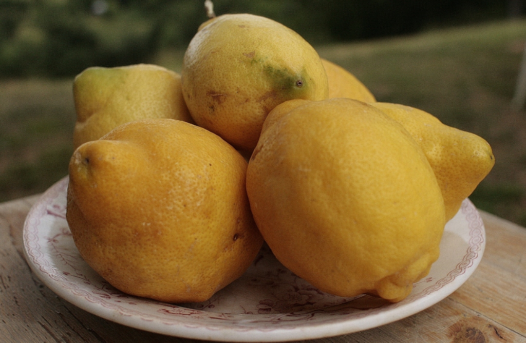 Lemons for lemon curd